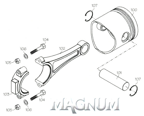 120801X (MAGNUM ENGINES PART) CARB ASSY