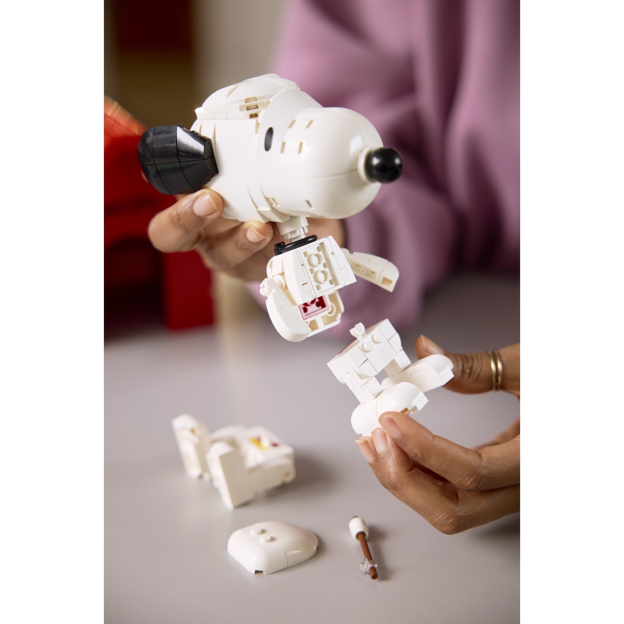 LEGO® 21368 Peanuts Snoopy's Doghouse - Ideas