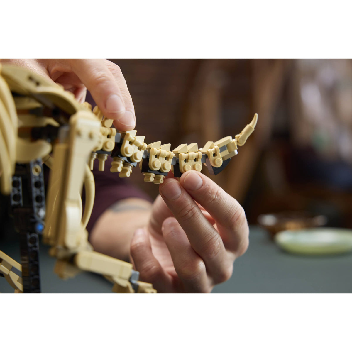 LEGO® 77985 Dinosaur Fossils: Triceratops - Jurassic World™