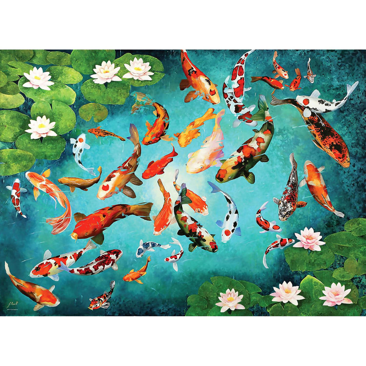EuroGraphics - Koi Fish - Jigsaw Puzzle 1000 Pieces