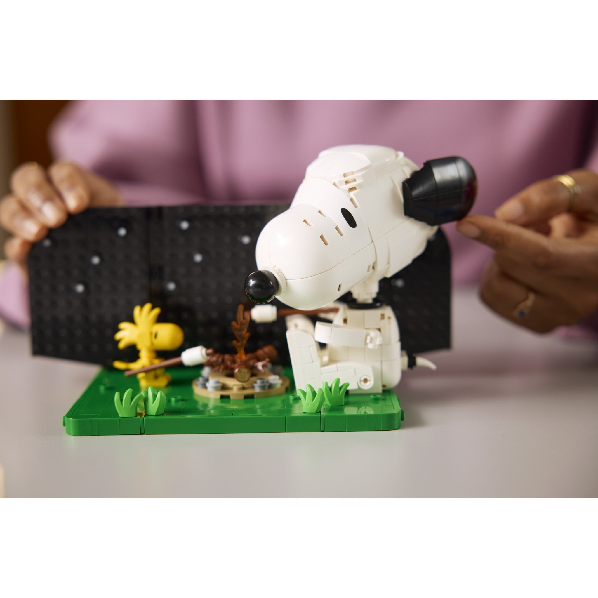 LEGO® 21368 Peanuts Snoopy's Doghouse - Ideas