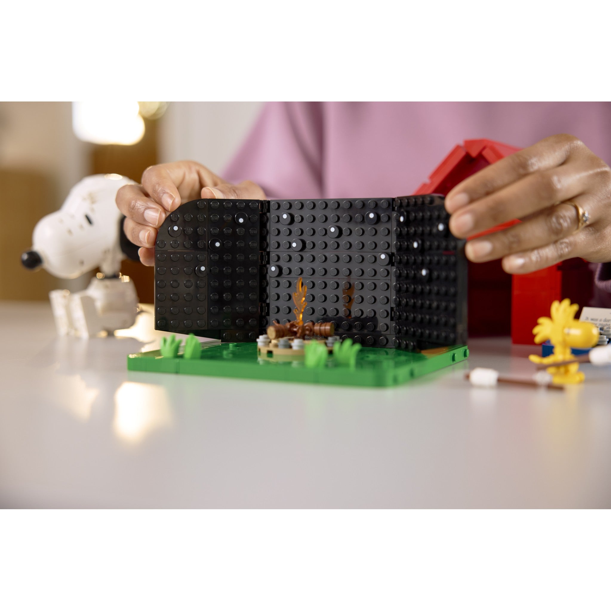 LEGO® 21368 Peanuts Snoopy's Doghouse - Ideas