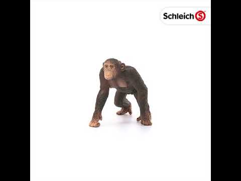 Figurine Schleich 14817 - Chimpanzé Mâle - Neuf, Pour Collection Ou Jeu éducatif