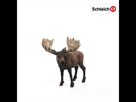 Schleich – Moose Bull – Tates Toys Australia – The Best Toys at Great ...