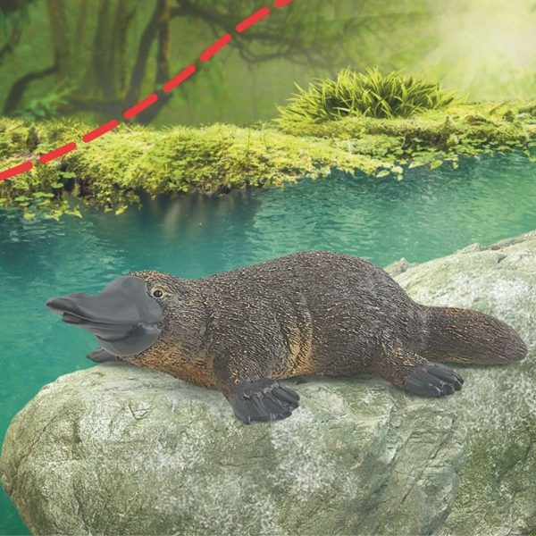 Schleich - Platypus   Wildlife Animal Figurine - Image 2