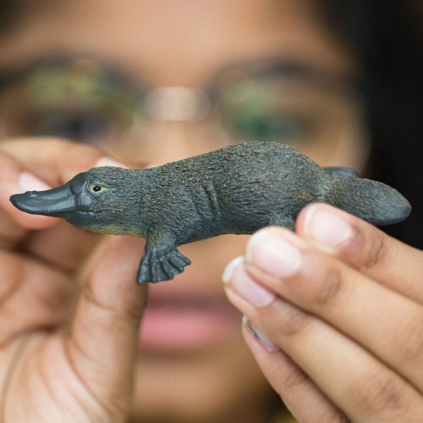 Schleich - Platypus   Wildlife Animal Figurine - Image 3