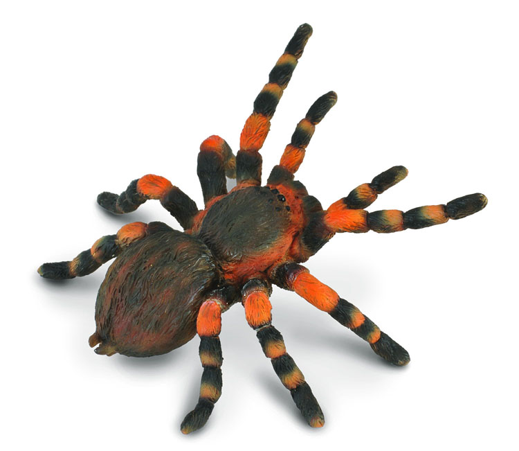 CollectA Mexican Red Knee Tarantula Spider Animal Figurine