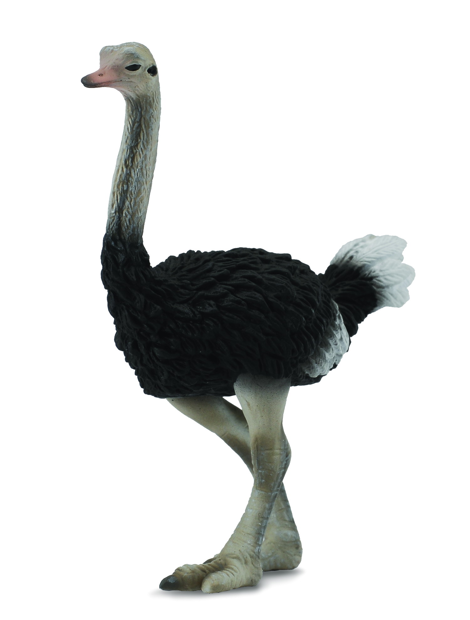 CollectA Ostrich Animal Figurine