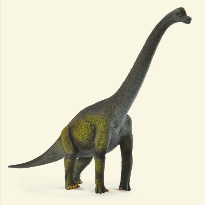 CollectA Brachiosaurus Large Dinosaur Figurine