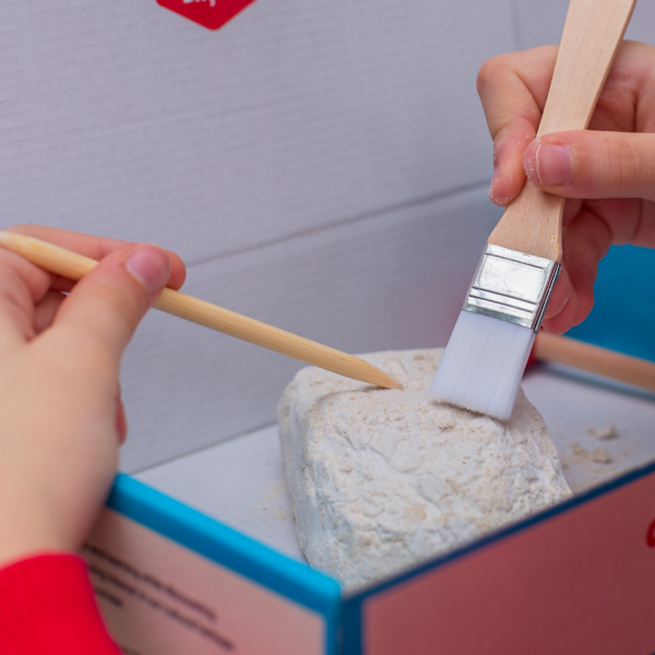 Arkerobox - Colosseum Archeological Excavation Kit - Image 3