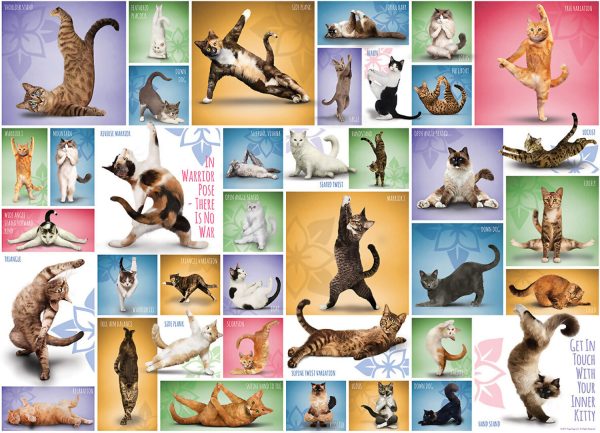 Eurographics - Yoga Cats - Jigsaw Puzzle 1000pc - Image 3