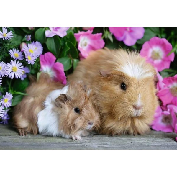 Ravensburger - Guinea Pig & Bunnies Jigsaw Puzzle 2 X12pc - Image 2
