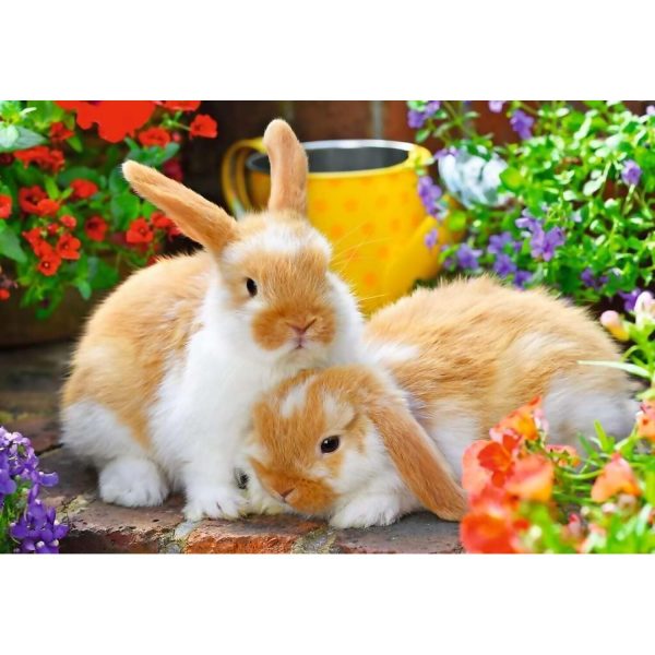 Ravensburger - Guinea Pig & Bunnies Jigsaw Puzzle 2 X12pc - Image 3
