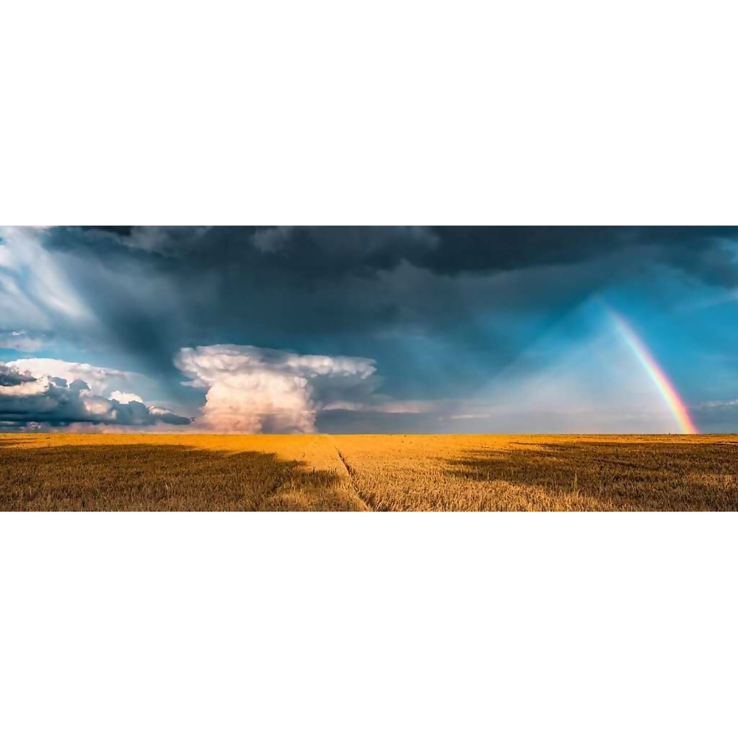 Ravensburger - Mysterious Rainbow Nature Edition Panorama Jigsaw Puzzle 1000pc - Image 2