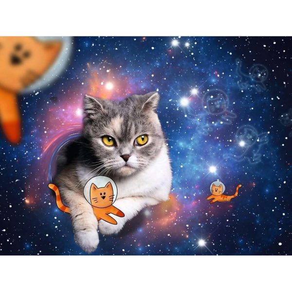 Ravensburger - Cats In Outer Space Jigsaw Puzzle 1500pc - Image 2