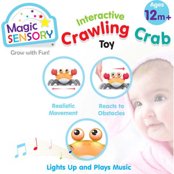 Magic Sensory - Orange Interactive Crawling Crab - Image 5