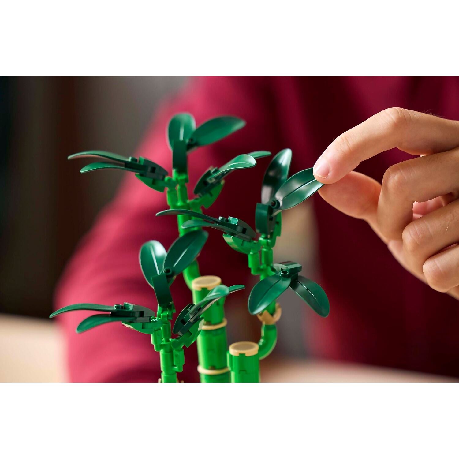 LEGO 10344 Lucky Bamboo – Botanical Collection – Tates Toys Australia ...