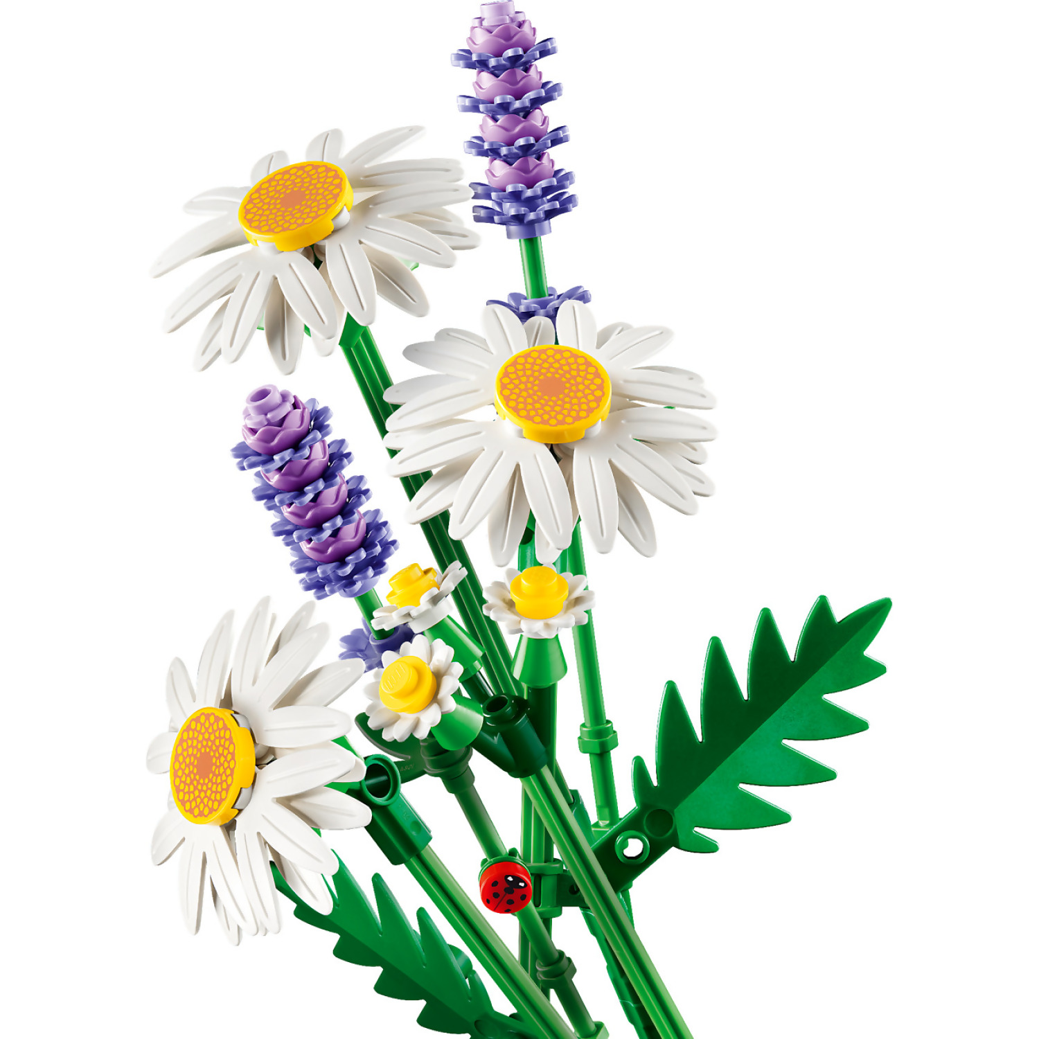 LEGO 11508 Daisies - Botanical Collection - Image 4