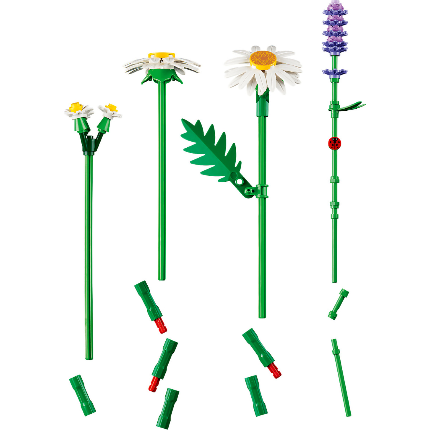 LEGO 11508 Daisies - Botanical Collection - Image 7