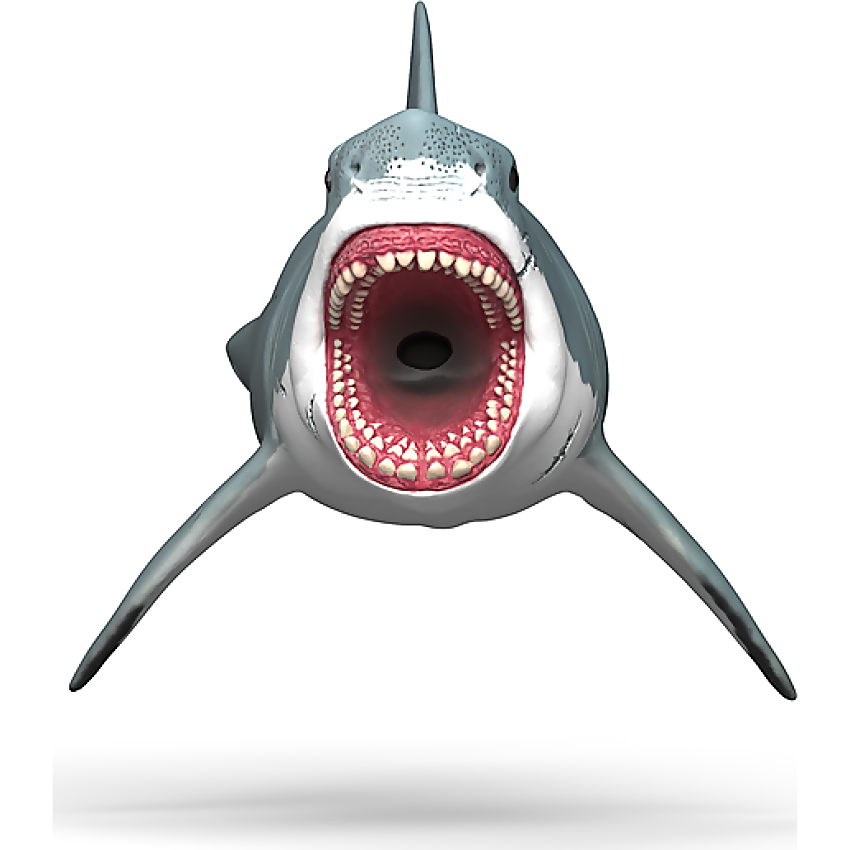 Schleich - Megalodon - Image 4