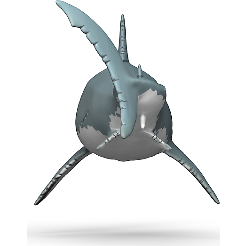 Schleich - Megalodon - Image 5