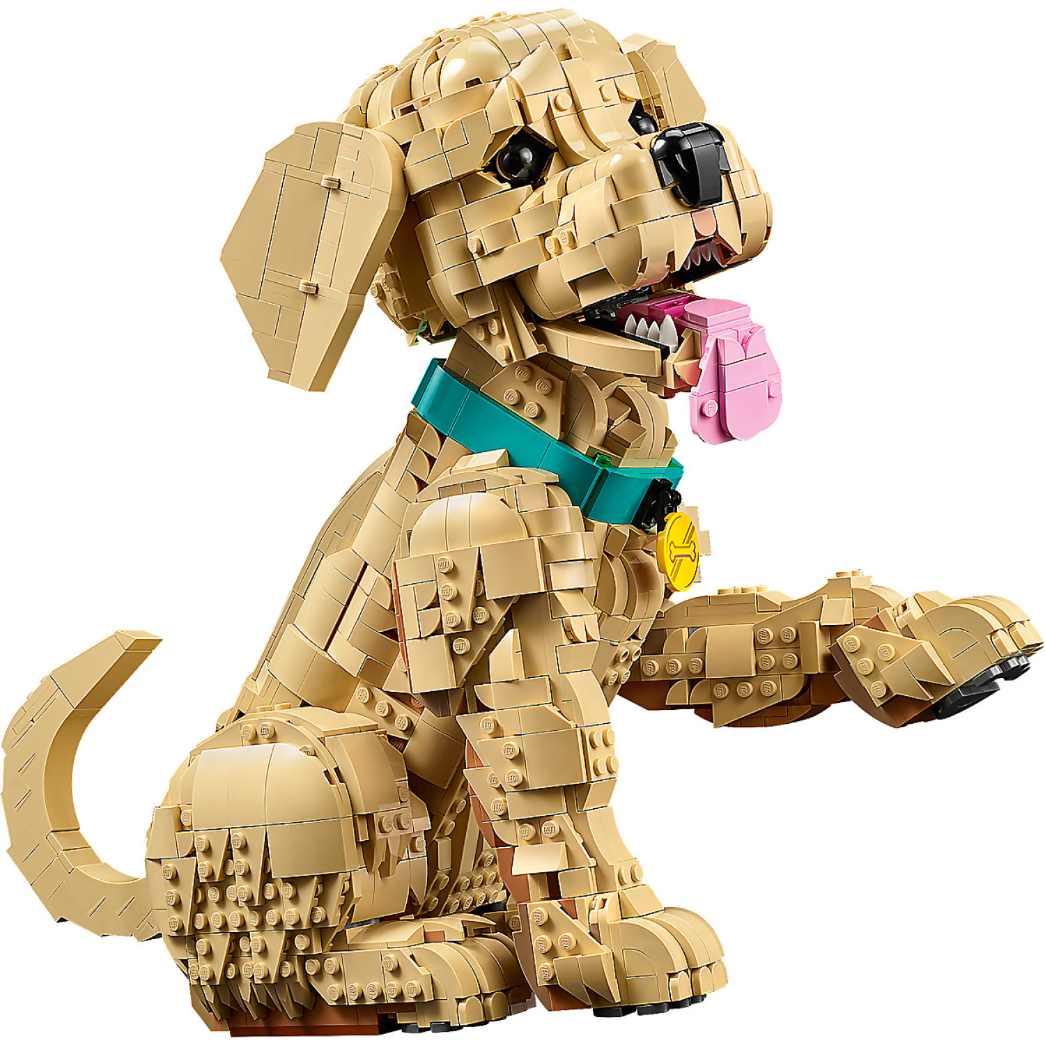 LEGO 11384 Golden Retriever Puppy - Icons - Image 3