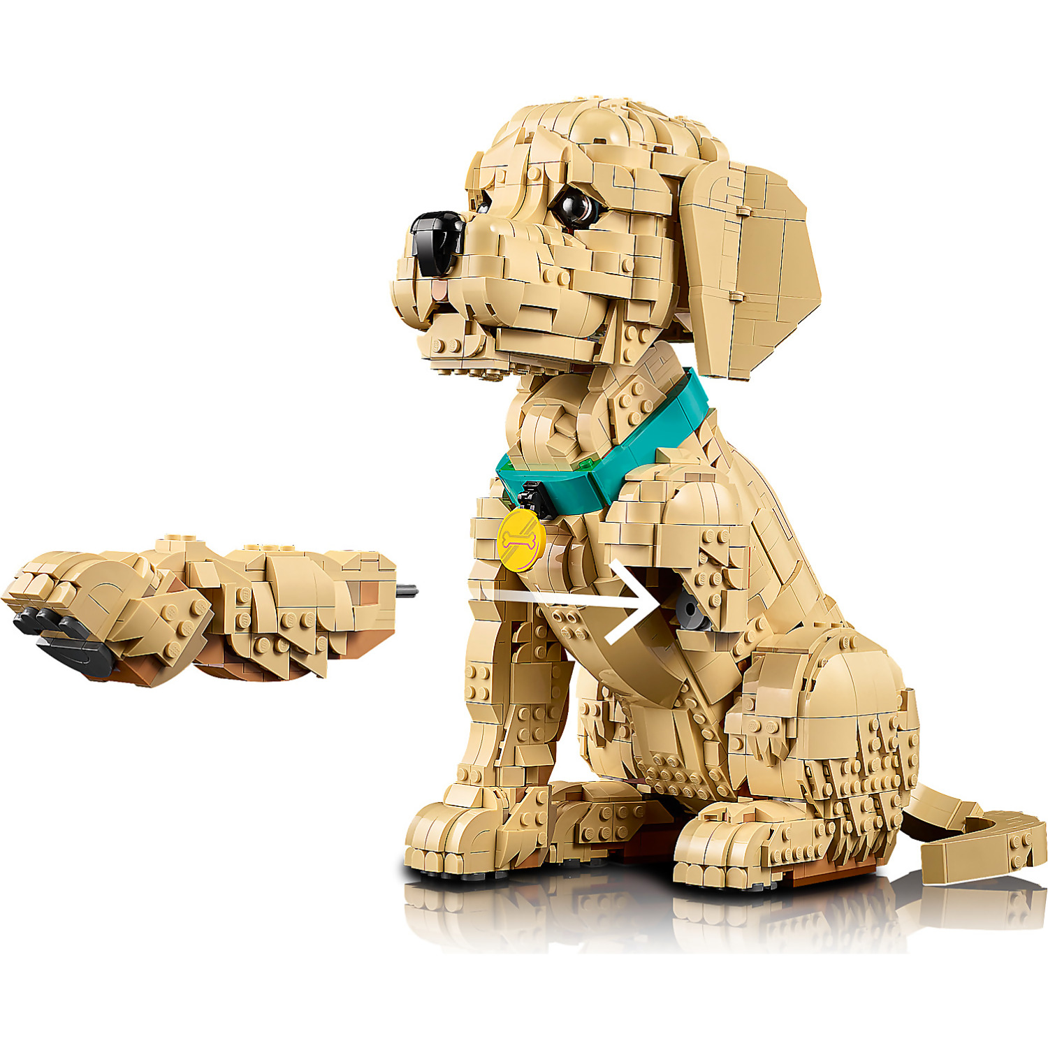 LEGO 11384 Golden Retriever Puppy - Icons - Image 6