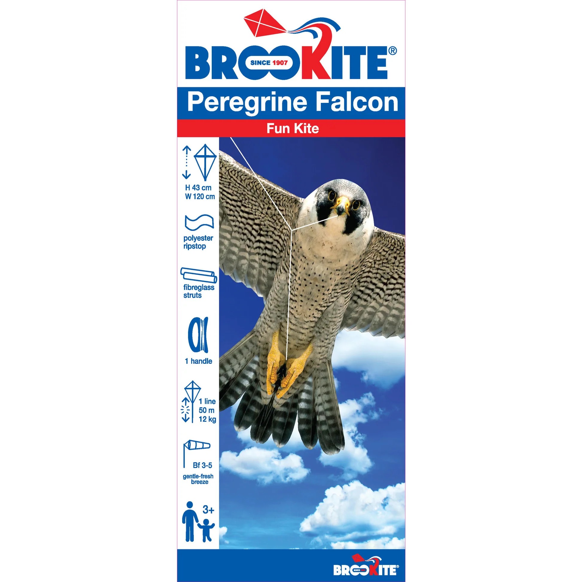 Brookite - Peregrine Falcon Fun Kite