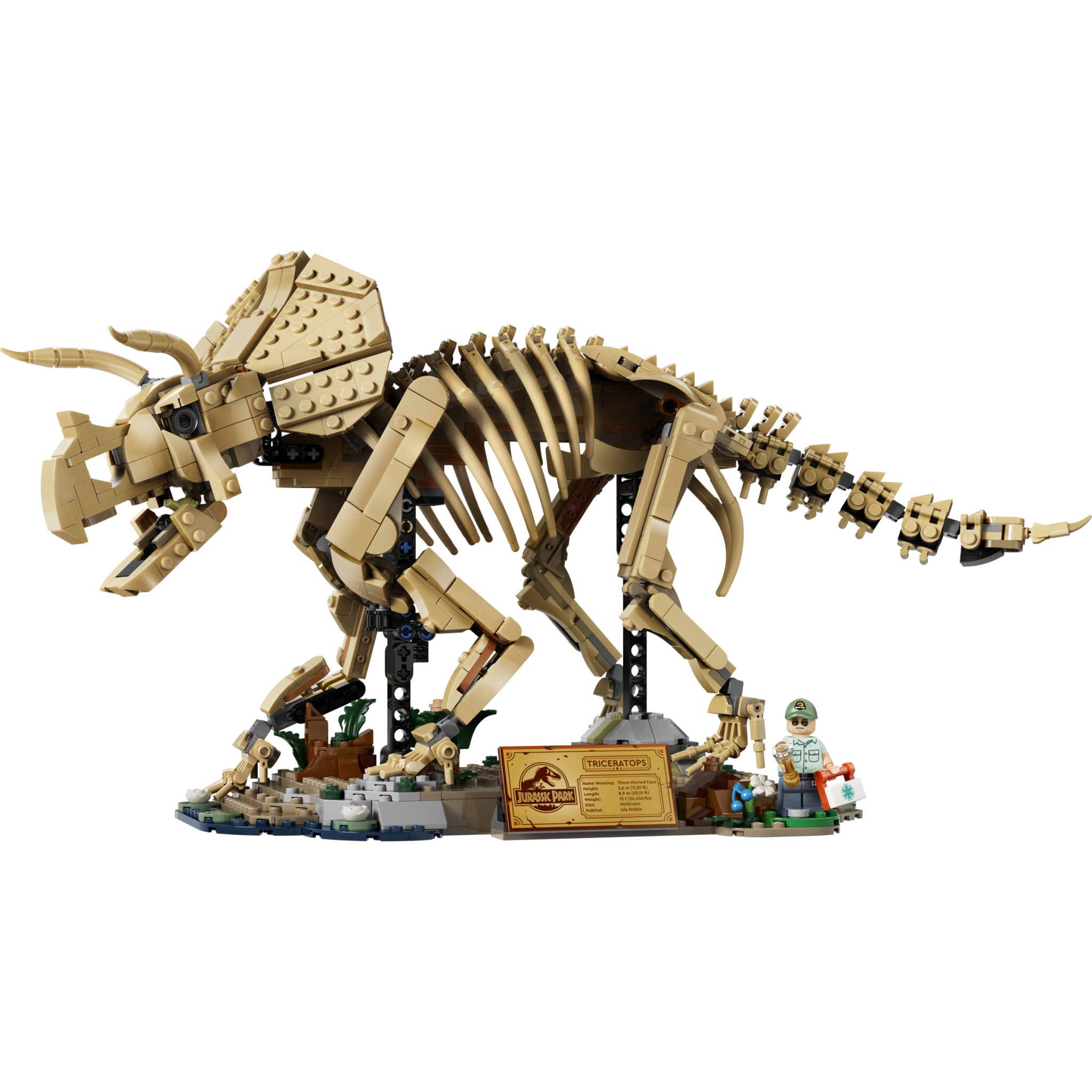 LEGO 77985 Dinosaur Fossils: Triceratops - Jurassic World - Image 2