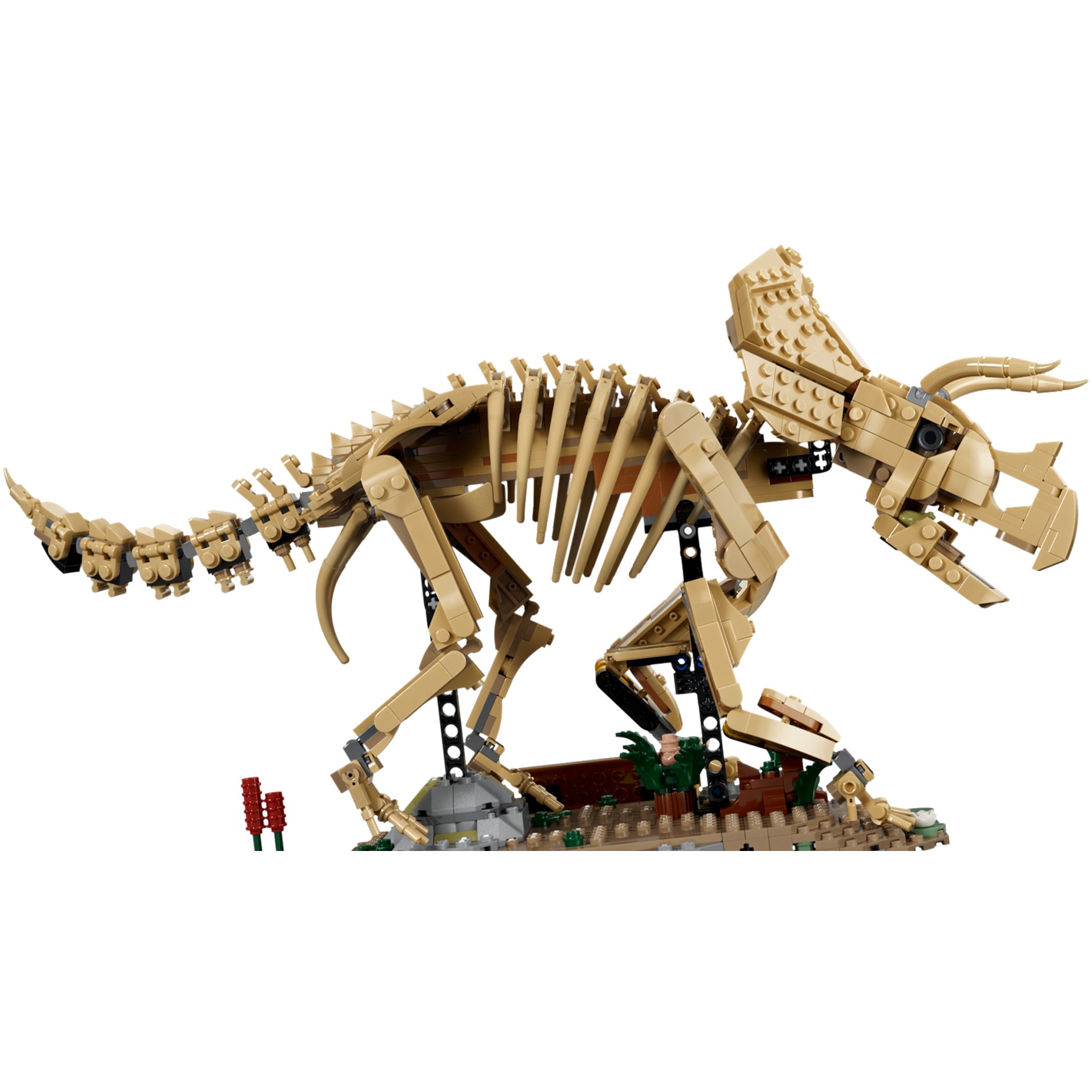 LEGO 77985 Dinosaur Fossils: Triceratops - Jurassic World - Image 3
