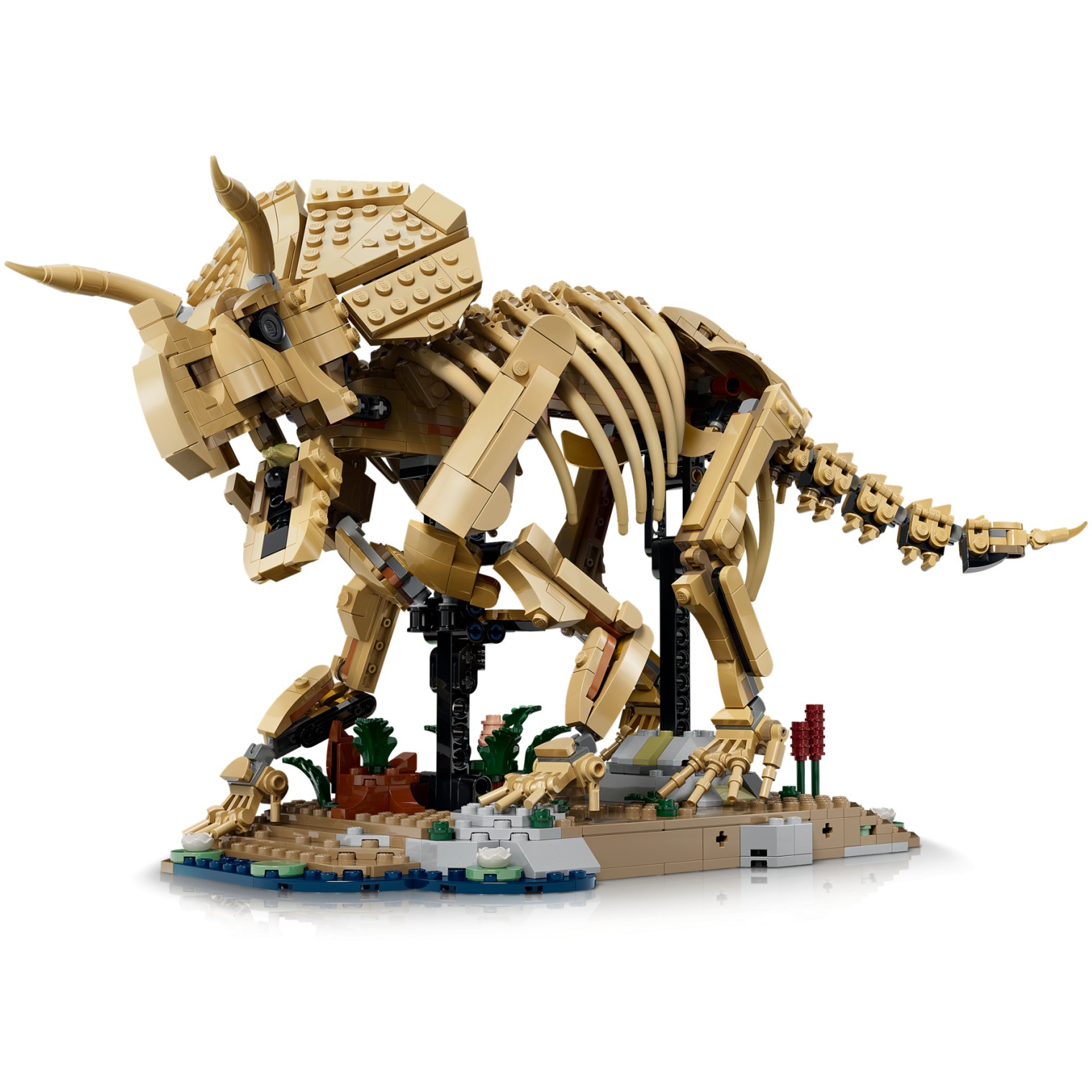 LEGO 77985 Dinosaur Fossils: Triceratops - Jurassic World - Image 4