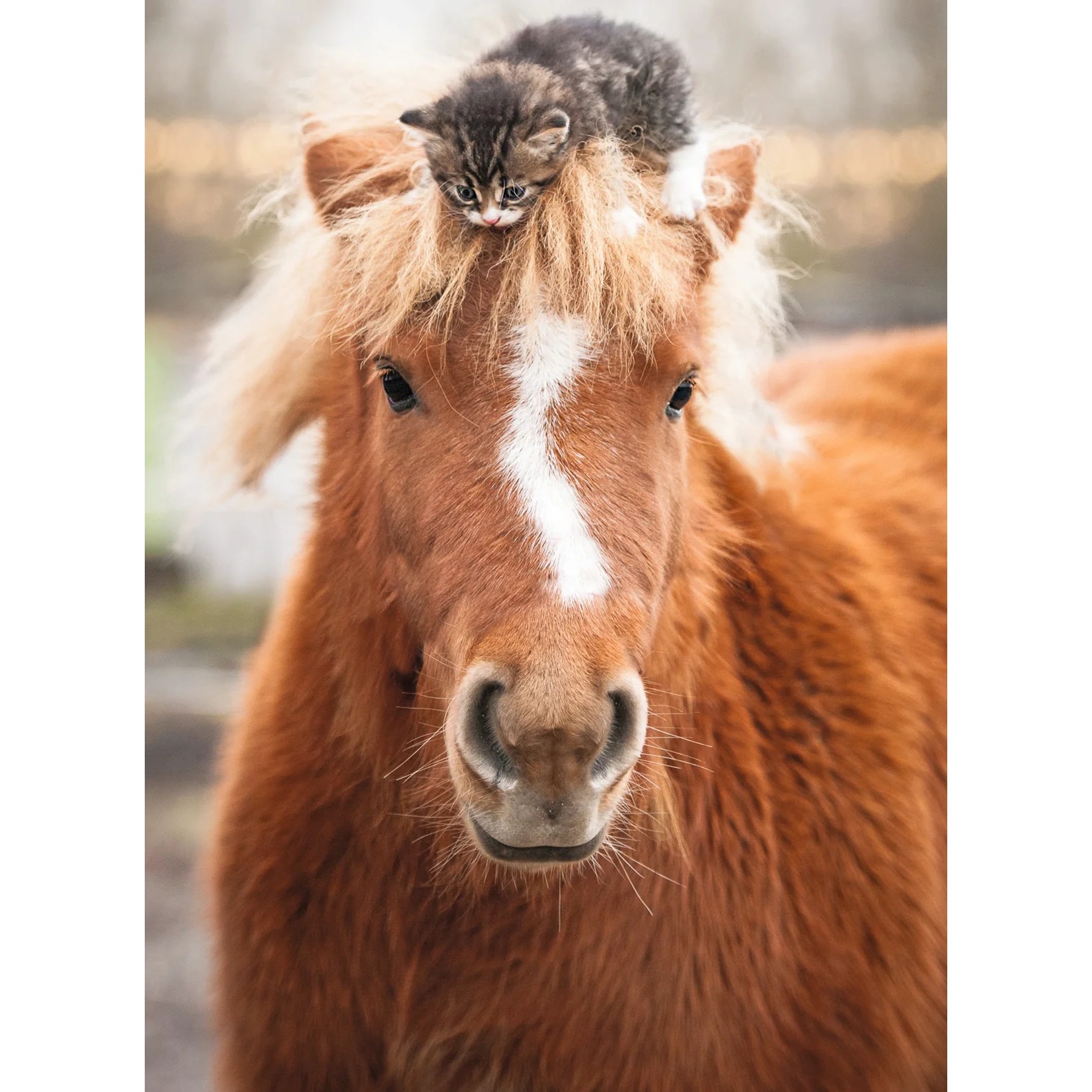 Ravensburger - The Little Rider Jigsaw Puzzle 500 Pieces - Image 2